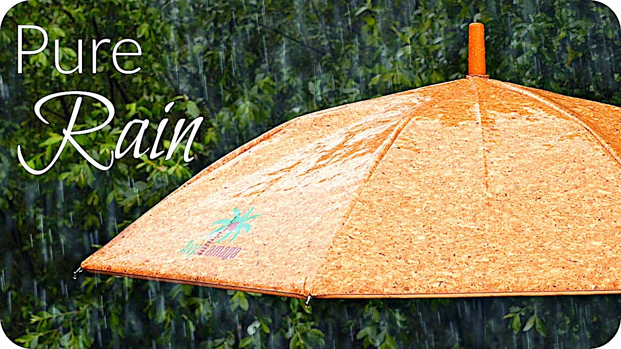 Asmr Rain On Cork Umbrella 8 Hours ☔️ Real Binaural Rain For Sleep & Study (no Thunder) White Noise