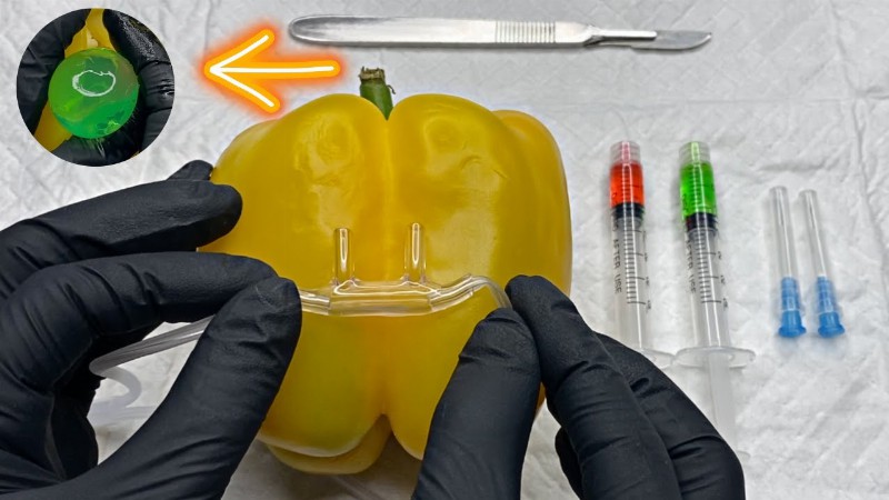 image 0 [asmr] Surgery On A Bell Pepper : Removing Jelly Growths From Inside